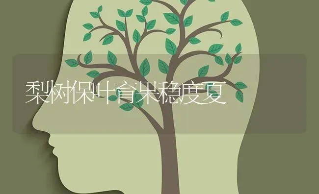 梨树保叶育果稳度夏 | 瓜果种植