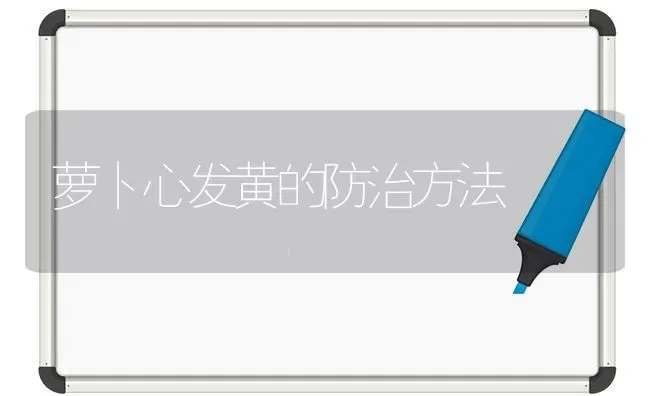 萝卜心发黄的防治方法 | 蔬菜种植