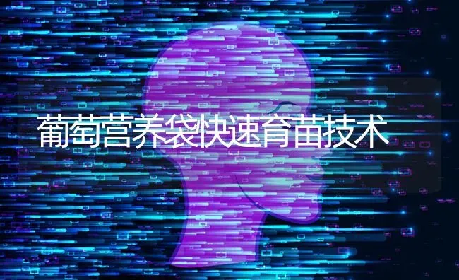 葡萄营养袋快速育苗技术 | 瓜果种植