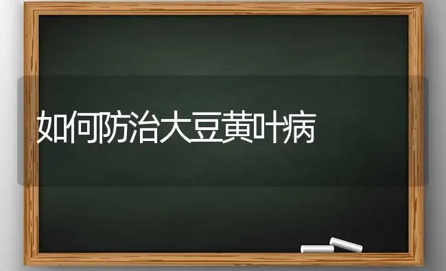 如何防治大豆黄叶病 | 粮油作物种植