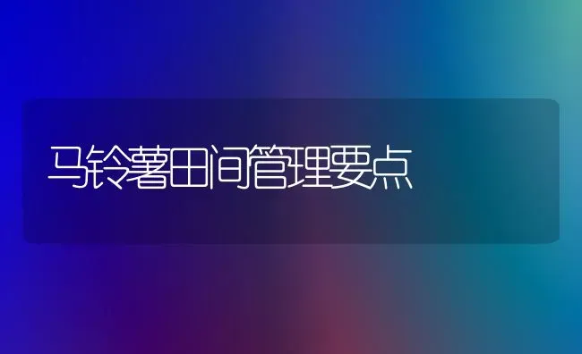 马铃薯田间管理要点 | 粮油作物种植