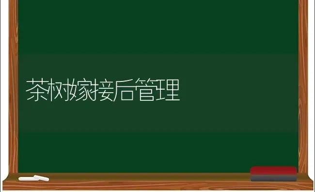 苹果摘袋后发黄不上色啥原因 | 瓜果种植