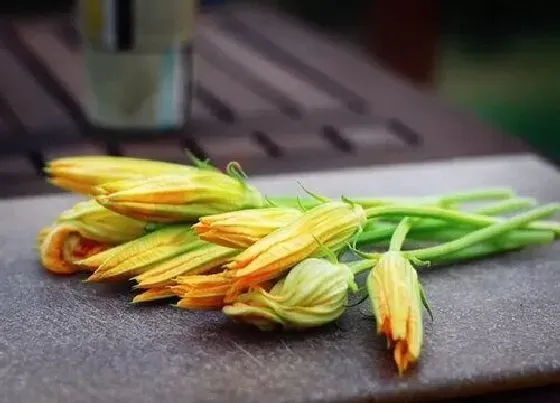 植物百科|南瓜花是完全花吗