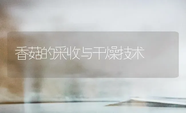 香菇的采收与干燥技术 | 食用菌种植