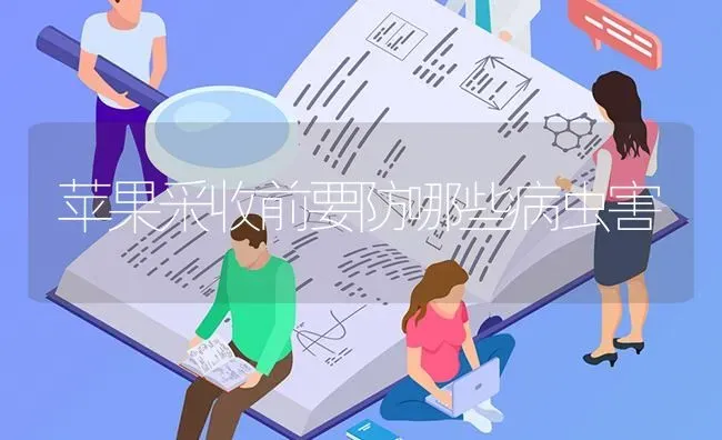 苹果采收前要防哪些病虫害 | 瓜果种植