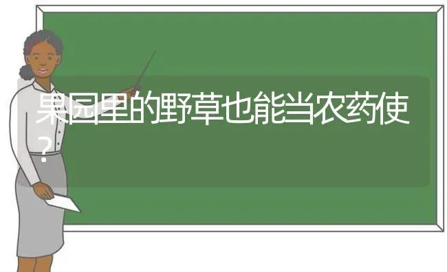 果园里的野草也能当农药使？ | 瓜果种植