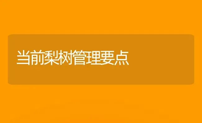 当前梨树管理要点 | 瓜果种植