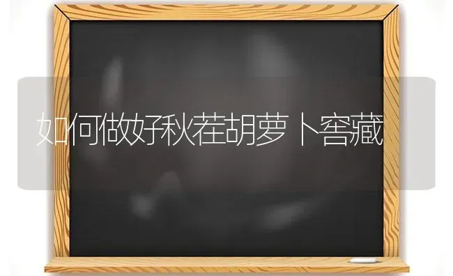 如何做好秋茬胡萝卜窖藏 | 蔬菜种植