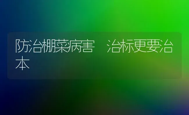 防治棚菜病害 治标更要治本 | 蔬菜种植