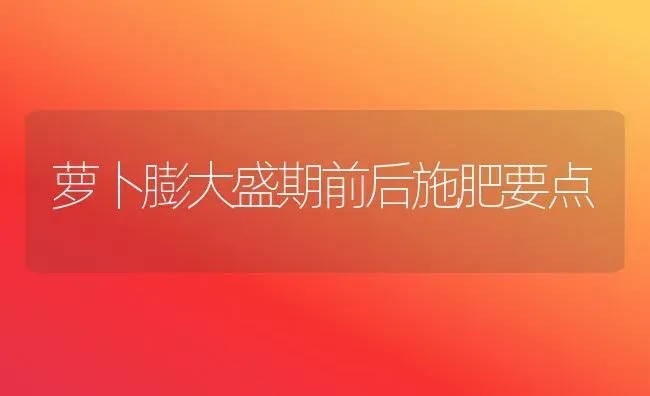 萝卜膨大盛期前后施肥要点 | 种植肥料施肥