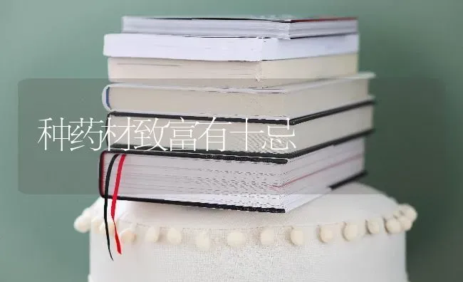 种药材致富有十忌 | 药材种植
