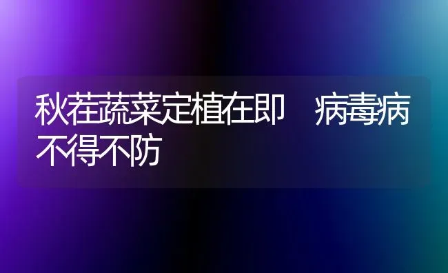 秋茬蔬菜定植在即 病毒病不得不防 | 蔬菜种植