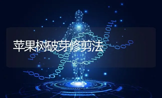 苹果树破芽修剪法 | 瓜果种植