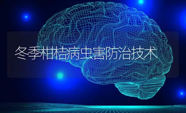 冬季柑桔病虫害防治技术 | 种植病虫害防治