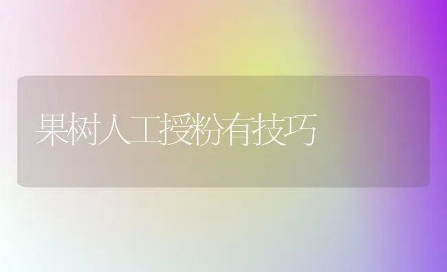 果树人工授粉有技巧 | 瓜果种植