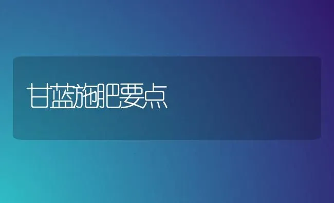 甘蓝施肥要点 | 种植肥料施肥