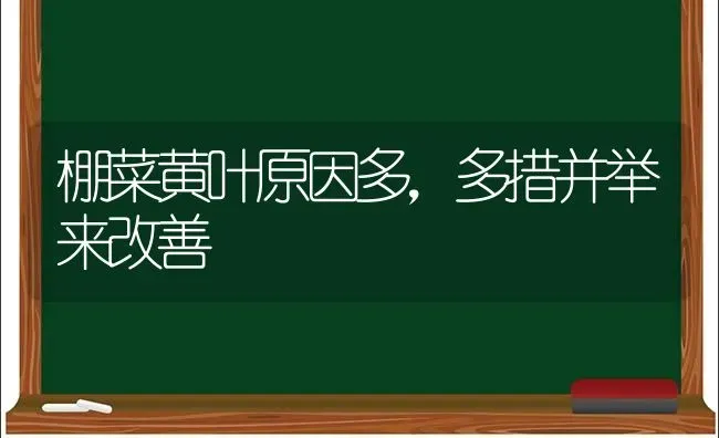 棚菜黄叶原因多，多措并举来改善 | 蔬菜种植