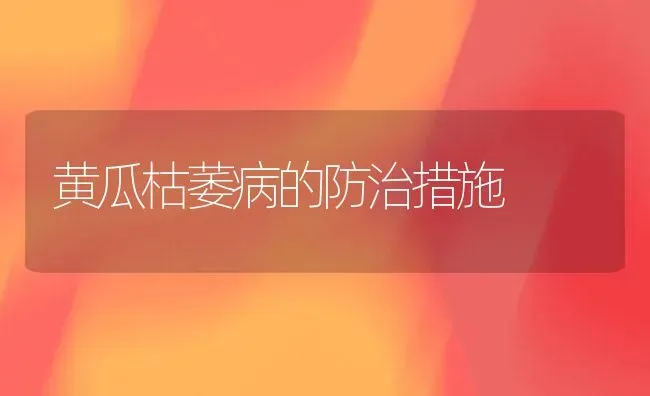 黄瓜枯萎病的防治措施 | 蔬菜种植