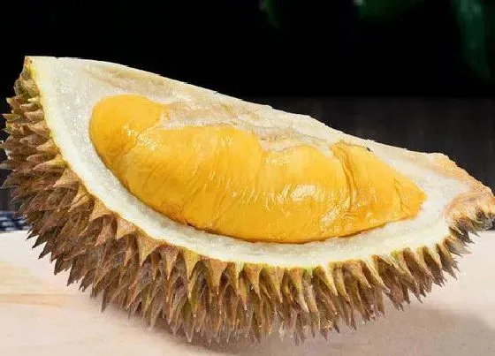 果实保存|榴莲可以放多久不坏