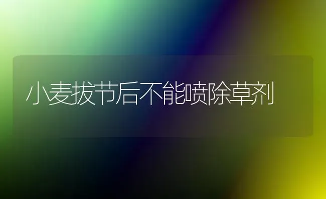 小麦拔节后不能喷除草剂 | 粮油作物种植