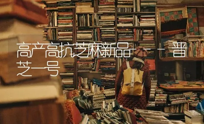 高产高抗芝麻新品---晋芝一号 | 粮油作物种植