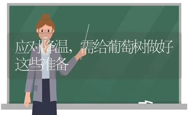 应对降温，需给葡萄树做好这些准备 | 瓜果种植