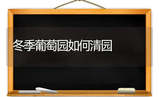 冬季葡萄园如何清园 | 瓜果种植