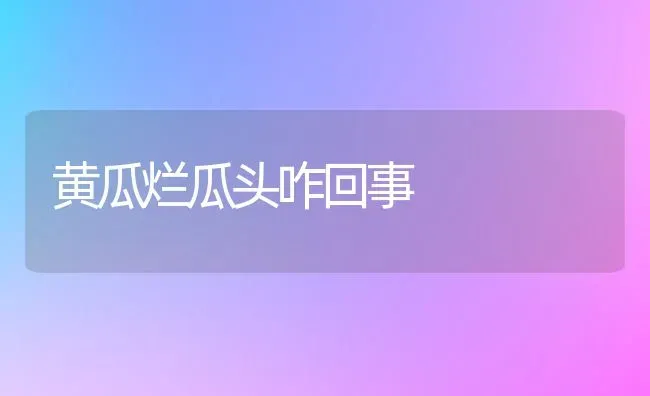 黄瓜烂瓜头咋回事 | 蔬菜种植