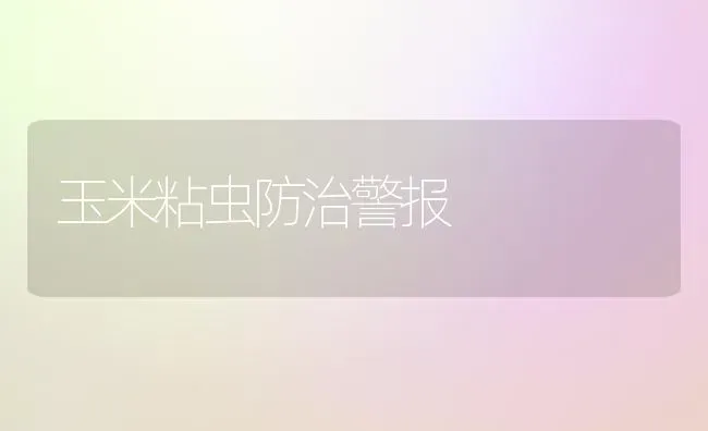 玉米粘虫防治警报 | 粮油作物种植