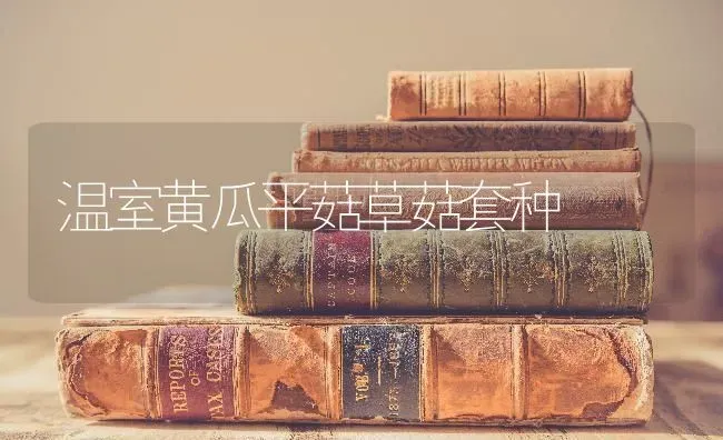 温室黄瓜平菇草菇套种 | 食用菌种植