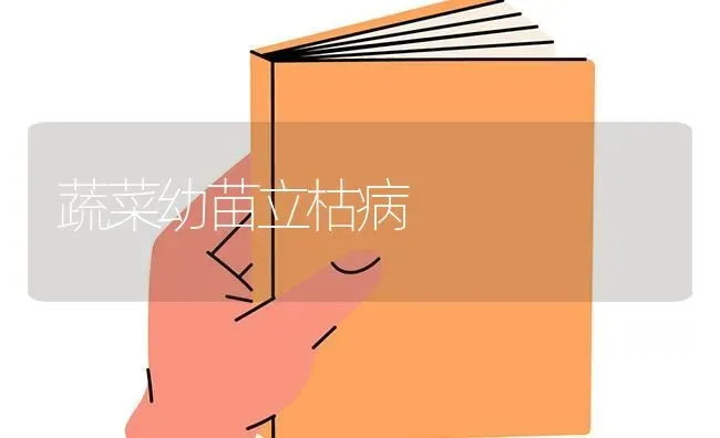 蔬菜幼苗立枯病 | 蔬菜种植