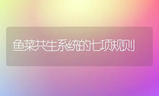 鱼菜共生系统的七项规则 | 蔬菜种植