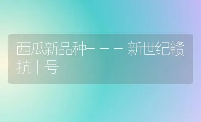 西瓜新品种---新世纪赣抗十号 | 瓜果种植