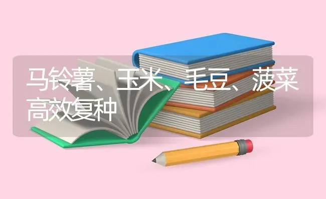 马铃薯、玉米、毛豆、菠菜高效复种 | 粮油作物种植