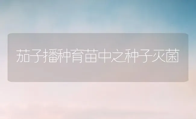 茄子播种育苗中之种子灭菌 | 蔬菜种植