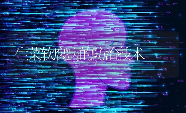 生菜软腐病的防治技术 | 蔬菜种植