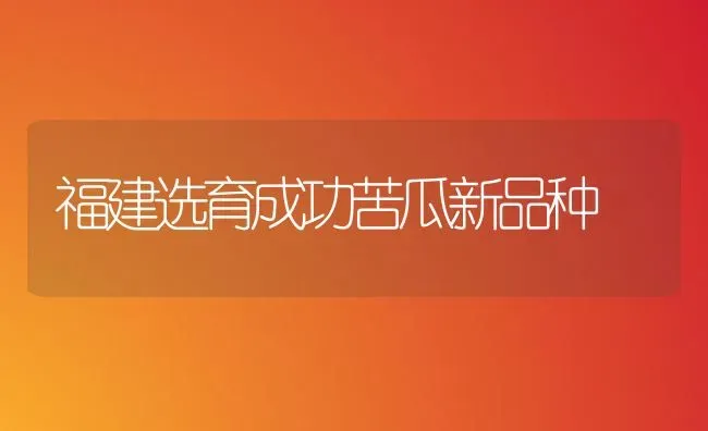 福建选育成功苦瓜新品种 | 蔬菜种植