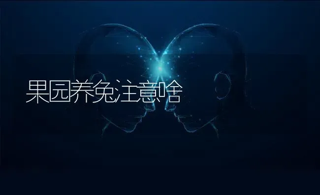 果园养兔注意啥 | 瓜果种植