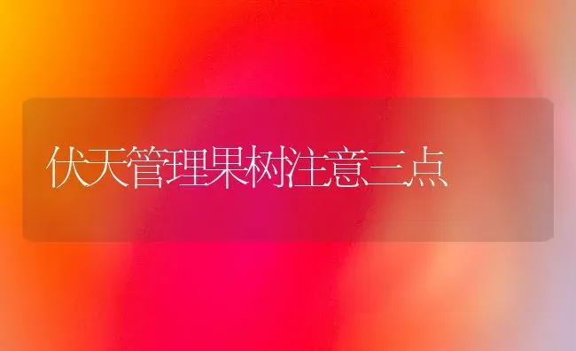 伏天管理果树注意三点 | 瓜果种植