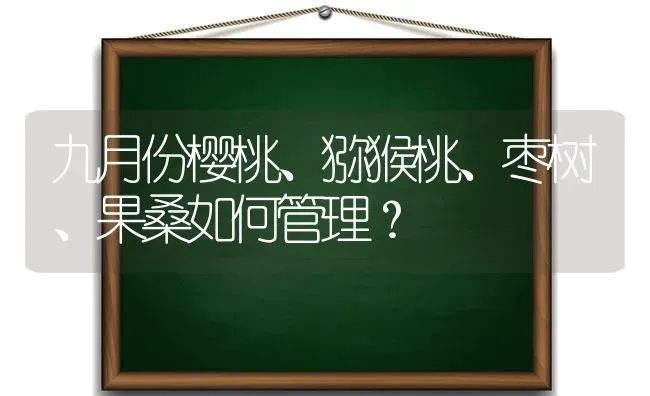 九月份樱桃、猕猴桃、枣树、果桑如何管理？ | 瓜果种植