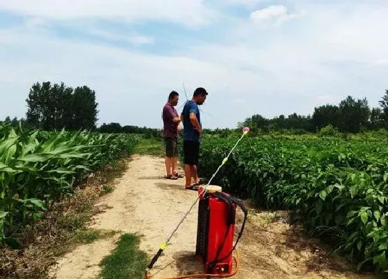 植物价格|今年草甘膦最新价格走势（2022年最新市场价格走势图）