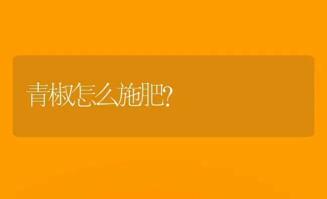 青椒怎么施肥？ | 种植肥料施肥