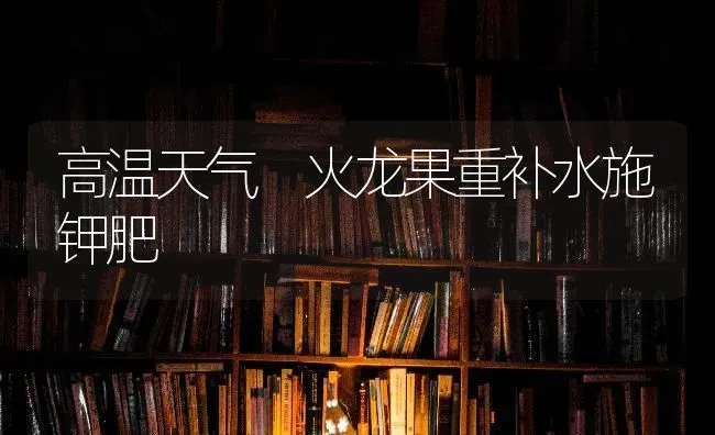 高温天气 火龙果重补水施钾肥 | 瓜果种植