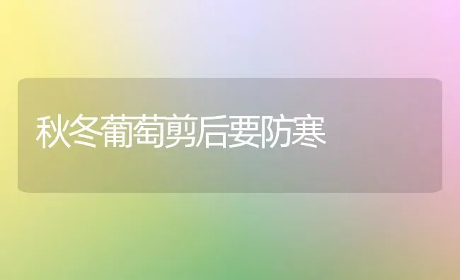 秋冬葡萄剪后要防寒 | 瓜果种植