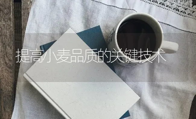 提高小麦品质的关键技术 | 粮油作物种植