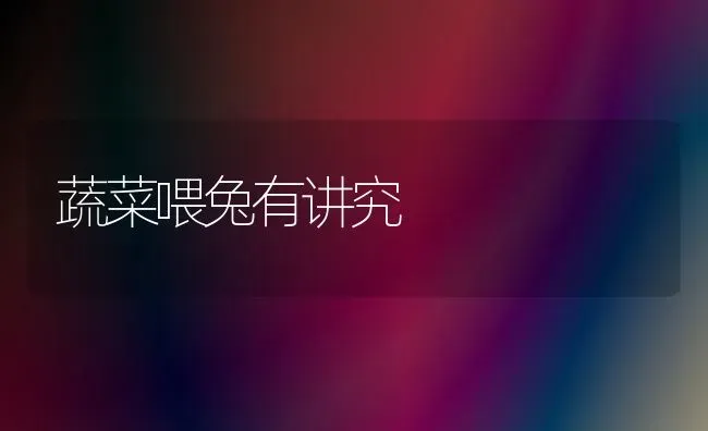 蔬菜喂兔有讲究 | 蔬菜种植