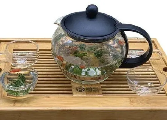 功效常识|人参花有什么作用和功效 喝人参花对人身体有什么好处