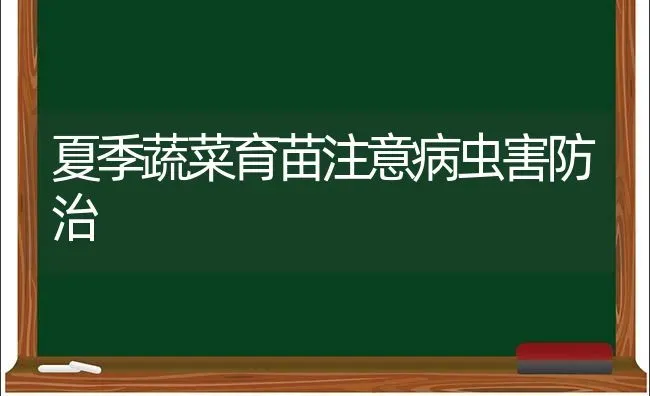 夏季蔬菜育苗注意病虫害防治 | 蔬菜种植