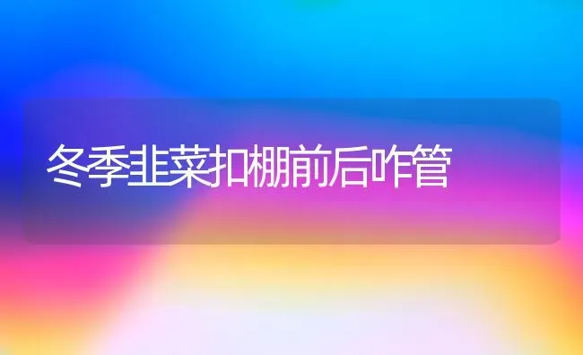 冬季韭菜扣棚前后咋管 | 蔬菜种植