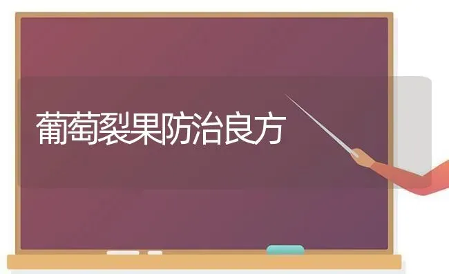 葡萄裂果防治良方 | 瓜果种植